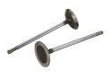 Intake Valve Light Weight 5.2L Coyote (8 Pack) Ford Racing