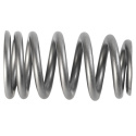 Pac 1219X Beehive Valve Spring Ford Racing