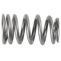 Pac 1219X Beehive Valve Spring Ford Racing