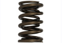 Tvs-1734 Valve Spring (1) Ford Racing