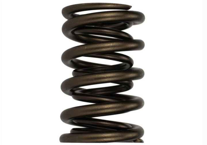Tvs-1734 Valve Spring (1) Ford Racing in the group Select car model / Ford at DDESIGN Scandinavia AB (frpM-6513-17341)