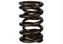 Tvs-1734 Valve Spring (1) Ford Racing