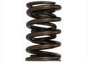 Tvs-1734 Valve Spring (1) Ford Racing