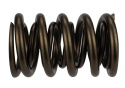 Tvs-1734 Valve Spring (1) Ford Racing