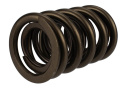 Tvs-1734 Valve Spring (1) Ford Racing