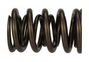 Tvs-1734 Valve Spring (1) Ford Racing