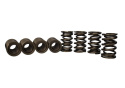 Set Of 8 Tvs-1734 Valve Springs Ford Racing