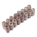 Valve Spring Kit Boss 302R Ford Racing