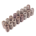 Valve Spring Kit Boss 302R Ford Racing