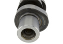 Camshafts 4.6L 3V Mgt 2005-10 Ford Racing