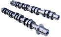 Camshafts 4.6L 3V Mgt 2005-10 Ford Racing