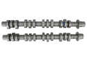 Camshafts 4.6L 3V Mgt 2005-10 Ford Racing