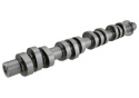 Camshafts 4.6L 3V Mgt 2005-10 Ford Racing