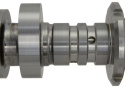 Camshafts 4.6L 3V Mgt 2005-10 Ford Racing