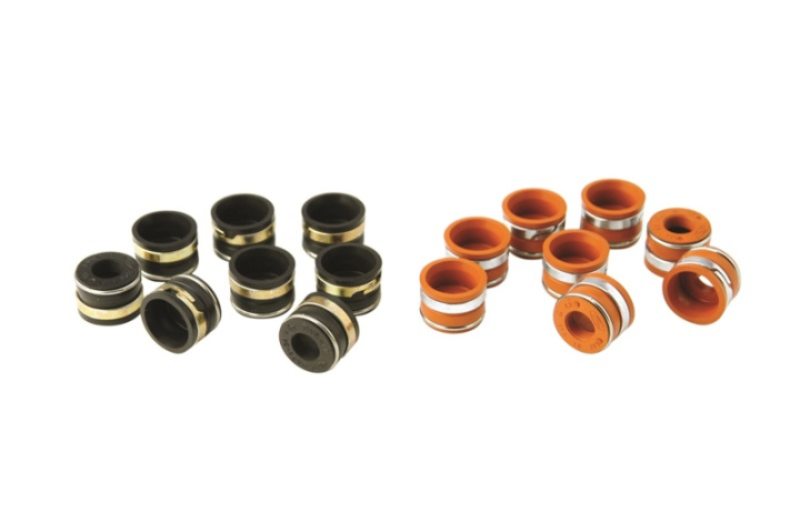 Valve Stem Seal (Set Of 16) Ford Racing in the group Select car model / Ford at DDESIGN Scandinavia AB (frpM-6571-A50)