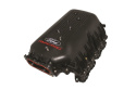 Manifold Efi 4.6L 3V Ford Racing