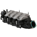 2018-2023 Gen 3 5.0L Coyote Intake Manifold Ford Racing