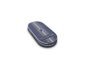 Oval Air Cleaner Ford Racing
