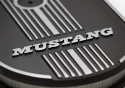 Oval Air Cleaner Ford Racing