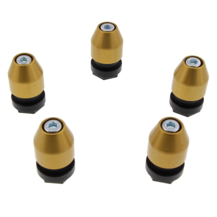 CLP-K5 - GiroDisc Center Lock Drive Pin Kit in the group Brakes / GiroDisc Spare Parts & Wear Surfaces at DDESIGN Scandinavia AB (gdsCLP-K5)