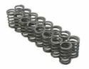 Honda (K20A3 K24A) 16pc Valve Springs
