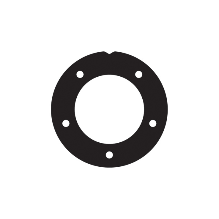 Gasket for Isspro fuel level sender Nuke Performance in the group Tuning / Fuel system / Other & Spare parts for fuel products at DDESIGN Scandinavia AB (nuke-150-10-133)