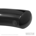 Westin 19-24 Chevrolet/GMC Silverado/Sierra 1500 Double Cab PRO TRAXX 4 Oval Nerf Step Bars - Black