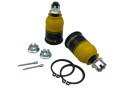 Honda Civic 7TH / Integra DC5 1999-2007 Roll Centre - Correction Kit Whiteline