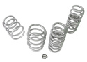 Audi A3 8V 2015-2020 Coil Springs - Lowered Whiteline