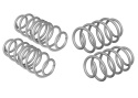 Ford Fiesta WP 2002-2009 Coil Springs - Lowered Whiteline