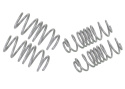 Ford Fiesta WZ 2013-2017 Coil Springs - Lowered Whiteline